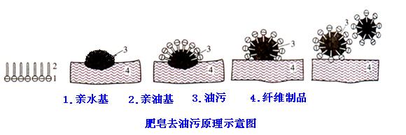 肥皂、洗衣粉和洗衣液三者有哪些區(qū)別？